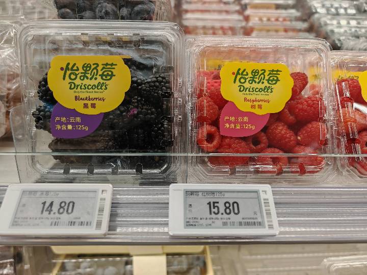 Berries - Blackberry
