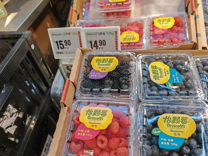 Berries - Blackberry