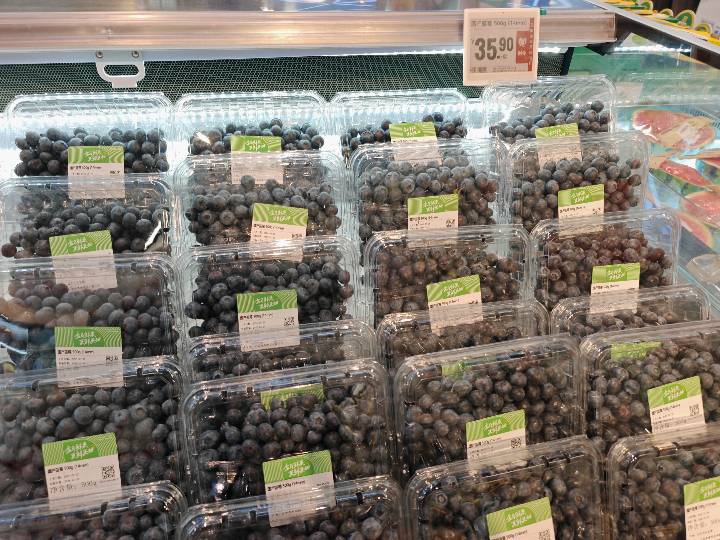 Berries - Blueberry