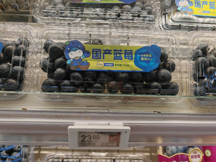 Berries - Blueberry