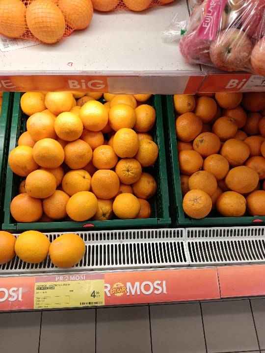 Orange - Valencia