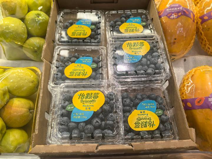 Berries - Blueberry