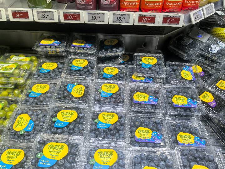 Berries - Blueberry