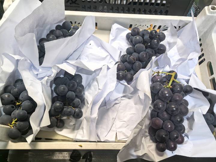 Grape - Black