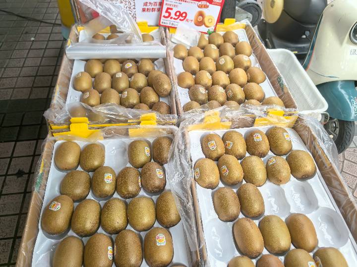 Kiwi - Gold