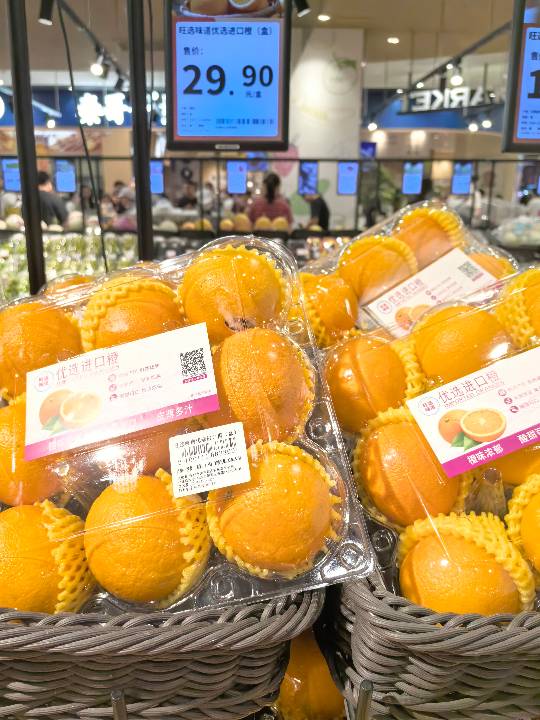 Orange - Navel