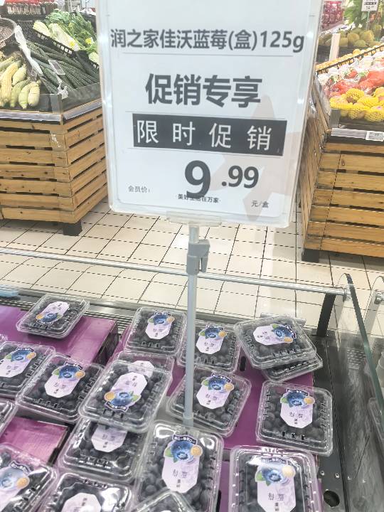 Berries - Blueberry