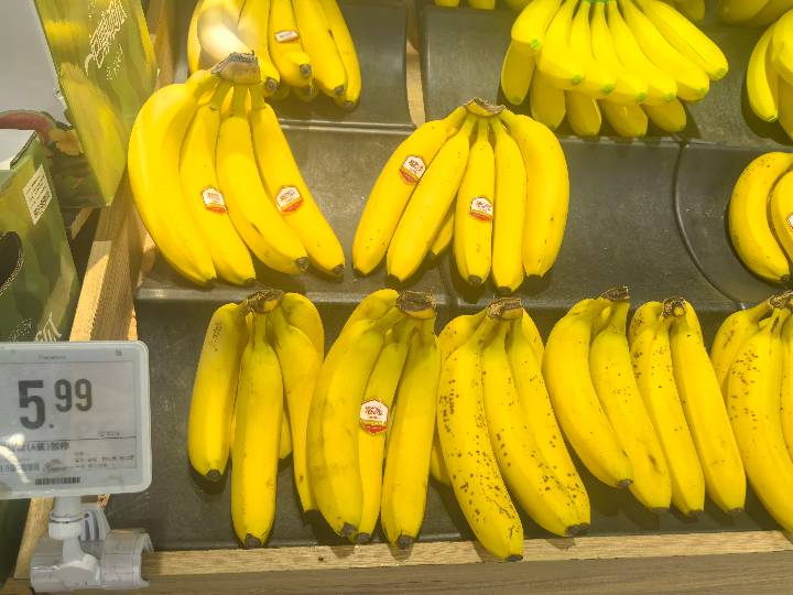 Banana - Cavendish