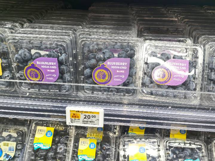 Berries - Blueberry