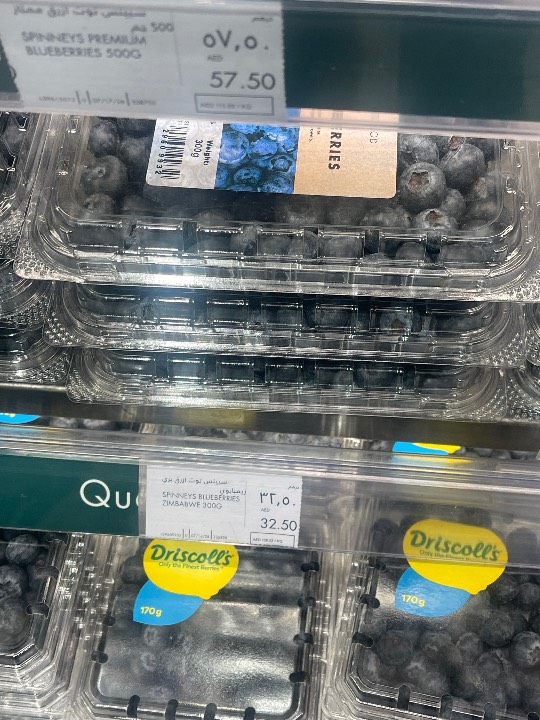 Blueberry - Bianca