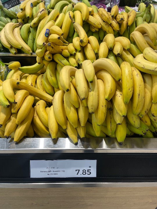 Banana - Cavendish