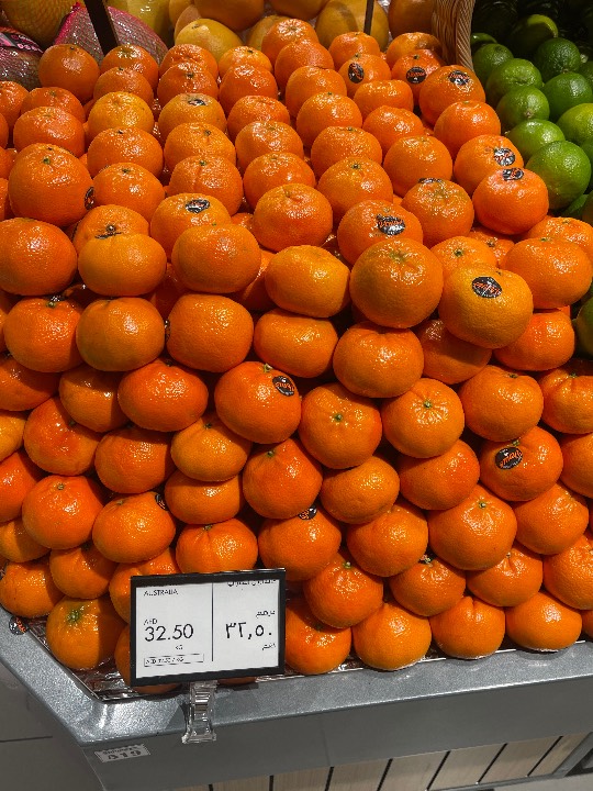 Soft-Citrus - Mandarin
