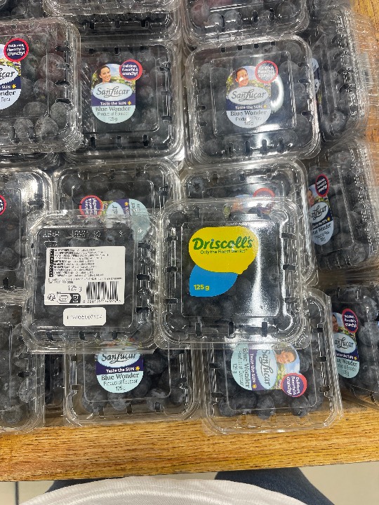 Blueberry - Bianca