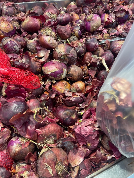 Onion - Red