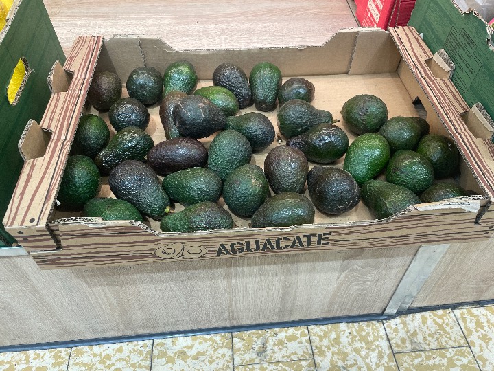 Avocado - Hass