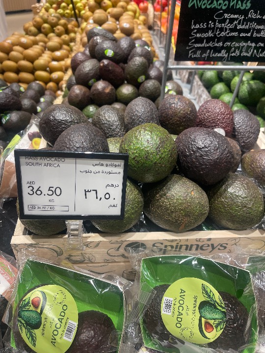 Avocado - Hass