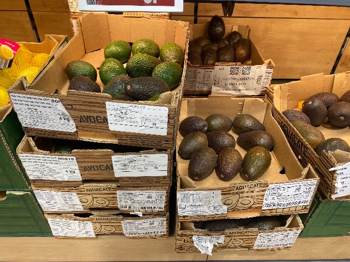 Avocado - Hass