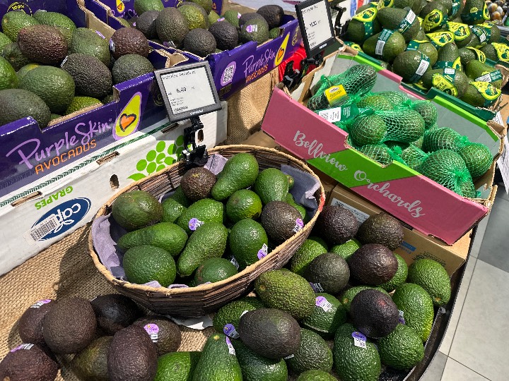 Avocado - Hass