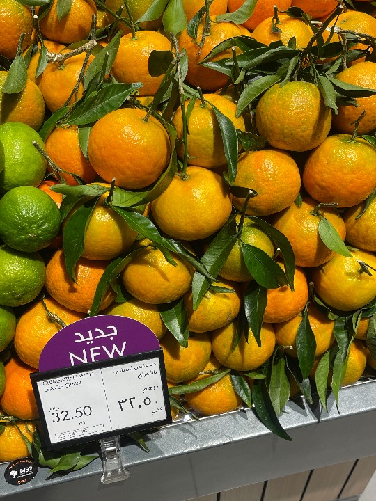 Soft-Citrus - Clementine