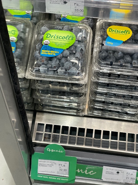 Blueberry - Bianca