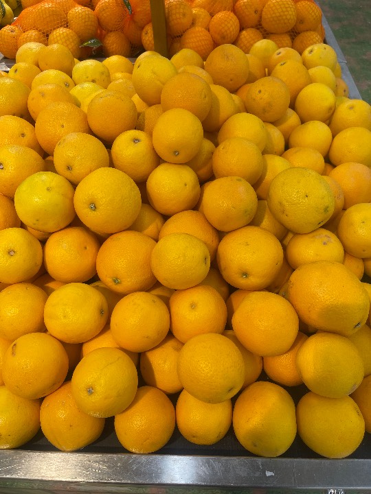 Orange - Valencia