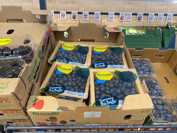 Berries - Blueberry